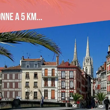 Le Baionarena 4 Pers-terrasse-parking-hypercentre 公寓 塔尔诺